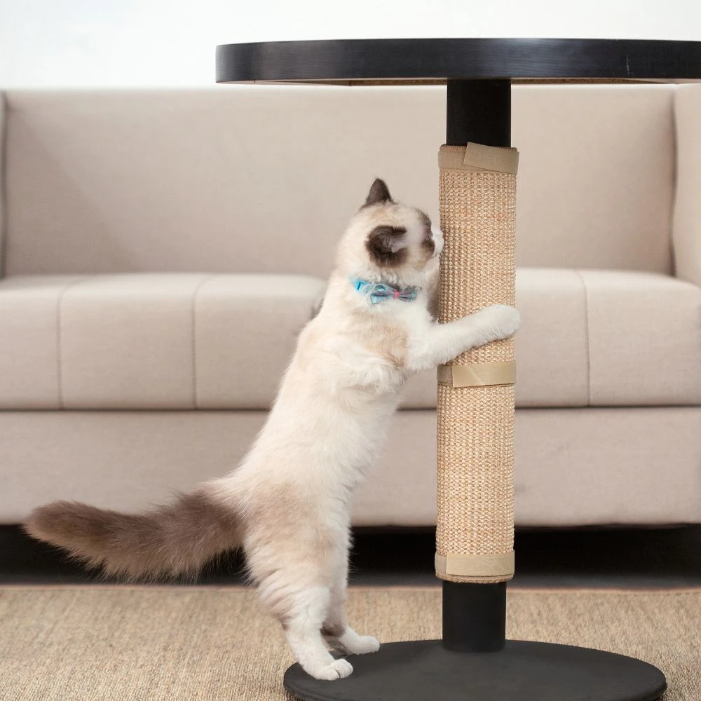 dog outdoor house with wrap scratcher mat used as entry rug