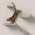 cat wall furniture australia|leather cat collar - Image 4