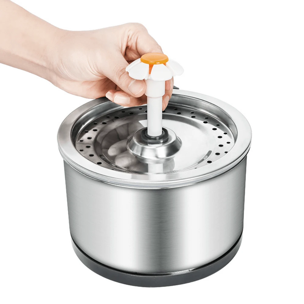 pet bed ramp training session with senior dog