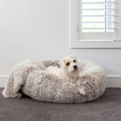 side-by-side compression test of custom dog beds foam vs supermarket bed after 12 months